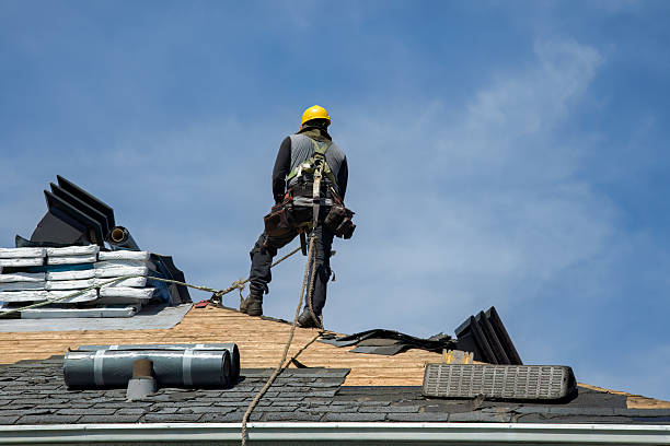 Professional Roofing technician working in Clarks Grove, MN